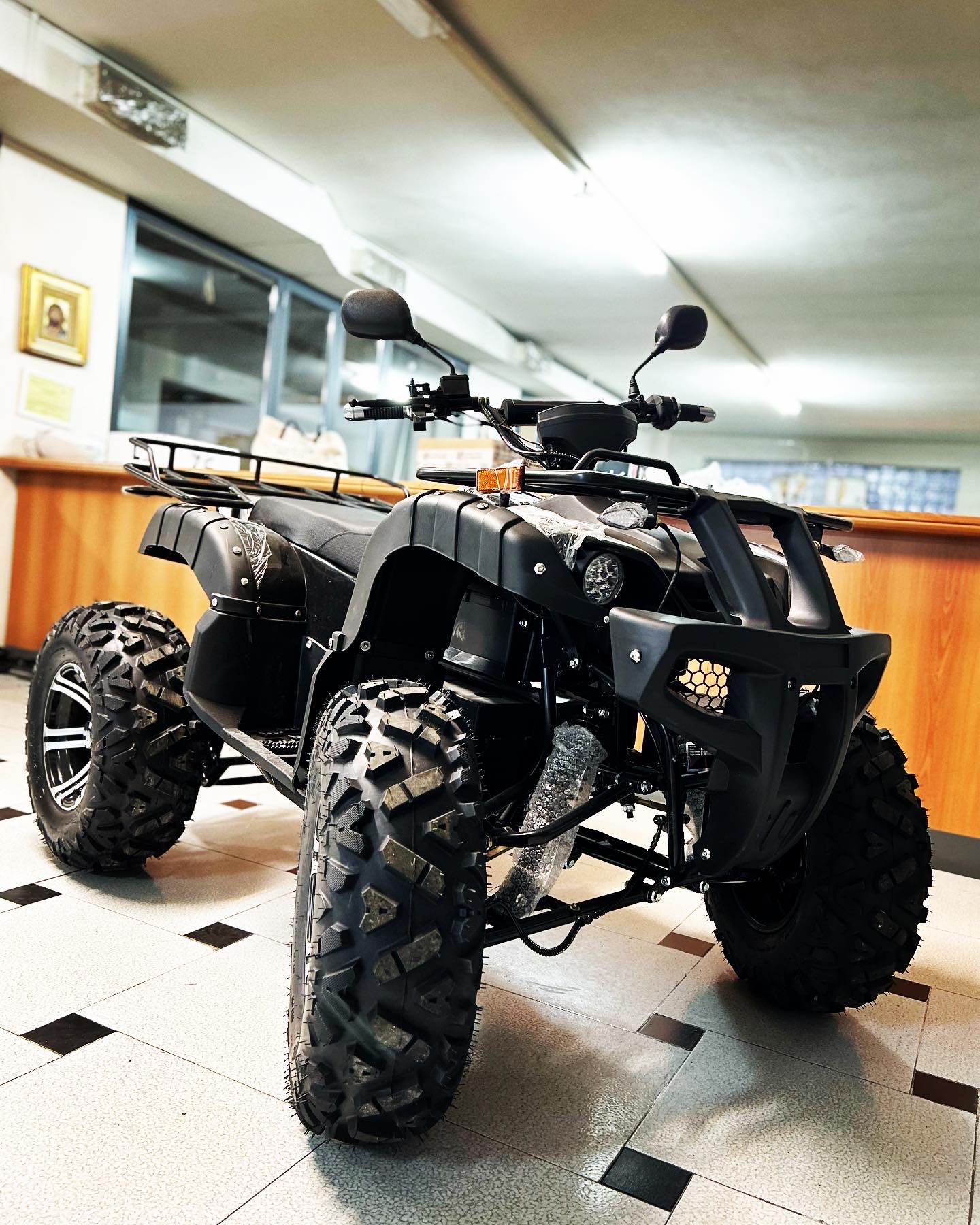 Vitale Q3000 - Quad Elettrico a 4 Ruote